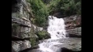 Oxford falls waterfall NSW