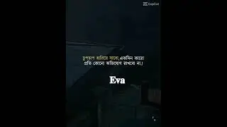 Untitled video