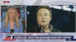 Inside Elon Musk's plans for Twitter: New details | LiveNOW from FOX
