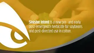 What is Sinister Intent?