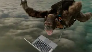 Bingle Insurance - Chimpfall