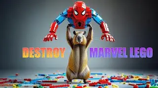 Pet ASMR | Satisfying MARVEL LEGO Build DESTROYED By Capybara! 💥🐹