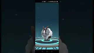 WOOLOO POK&Eacute;MON EVOLUTION IN POK&Eacute;MONGO #POK&Eacute;MONGO#WOOLOO#GALARIANPOKEMON#EVOLUTION