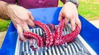GIANT OCTOPUS VS FAST SHREDDER!  COOL EXPERIMENT