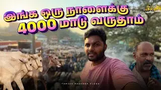 India&rsquo;s Biggest cattle market in Kerala | PALAKKAD Series Episode 2 | TAMIZH PASANGA VLOGS