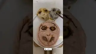 Monster Chef Mode: Spooky Recipes & Hilarious Faces  #MonsterChef #SpookyCooking #FoodFun
