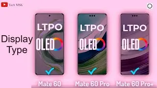 Huawei Mate 60 5G Vs Huawei Mate 60 Pro Vs Huawei Mate 60 Pro Plus Full