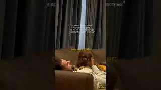 Шпиц зацеловал🧡 #шпиц#померанскийшпиц#собака#dog#love#hugs#sweet#friendlydog#choko#шоколадныйшпиц#