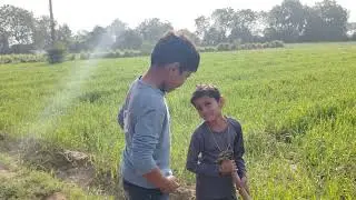 Chote fumtaji and haribha comedy 😄😄#trending #video #videoshort #fumny #fumtalji 