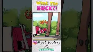 You Can't be Bucking Serious!  |  Comic Dub