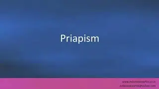 Pronunciation of the word(s) 