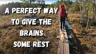 Escaping The City Life!🌲