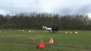 Heibing 24-04-16 TopCup