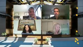 CalCCA 2021 Annual Meeting Panel: What's on the Agenda?