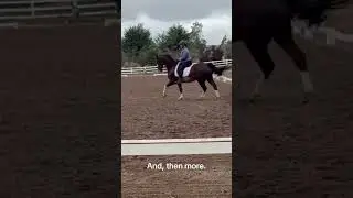 Hold my alfalfa, and watch this!