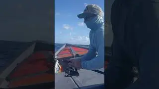 Thazard G&eacute;ant au JIG - Taille Record | #cara&iuml;bes #fishing #exo #fish #KingMackerel