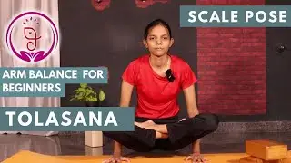 Tolasana | Arm balance for beginner| Lotus pose | Scale Pose | Hamsa Yoga foundation |Gayana