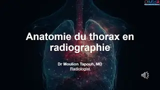 Anatomie du thorax en radiographie