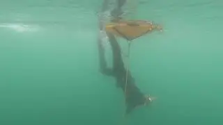 Freediving Echinger See 22.07.2018