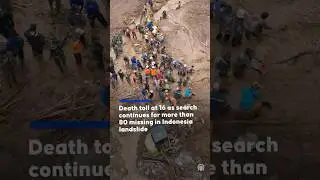 Death toll at 16 as search continues for more than 80 missing in Indonesia landslide