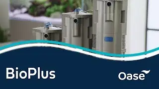 Oase BioPlus Range | Aquarium Filters