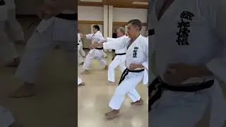 SKIF Yudansha Kai Special Seminar 2025