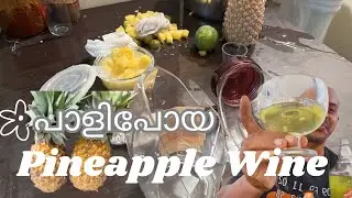 പൈൻ ആപ്പിൾ വൈൻ Paalipoyi | Homemade Pineapple Wine Recipe | Kerala Style Wine Making in Malayalam