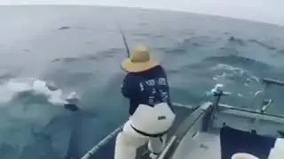 Охота и рыбалка