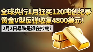 全球央行1月狂买120吨创纪录！黄金V型反弹收复4800美元! 2月2日暴跌是谁在抄底?