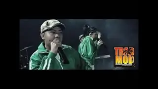 TRADMOD - DISCO REGGAE SKA