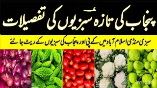 Fruits and Vegetables | Punjab Fresh Vegetables | 30 September 2025 | Today Prices Update 