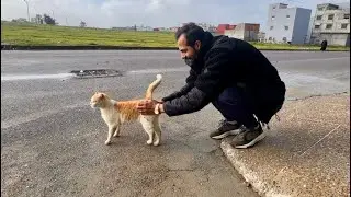 The stray cat talked so much about food that he became angry.