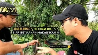 Pertama kali Makan Ikan Pleco @ Bandaraya.. Betul Ke Tak Boleh Makan ? Masak & Makan