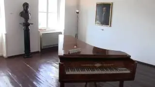 Gg à la  Maison de  Beethoven , Vienne - Beethoven haus , Wien ( 2014/06/11 )