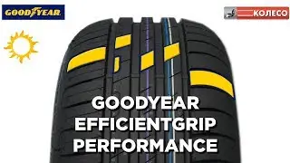GoodYear EfficientGrip Performance: обзор летних шин. КОЛЕСО.ру