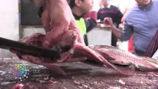 دوت مصر| طريقة تنظيف السمك البلطي