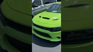 Rare Sublime Green Hellcat Charger #shorts #cars