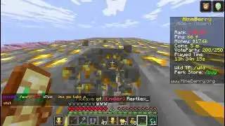 mineberry the best server