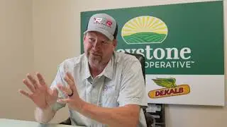Ed Timmons Testimonial | New Leader