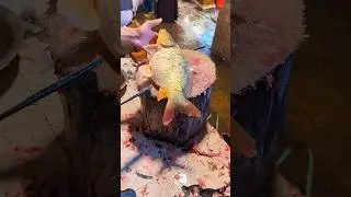 Amazing Cutting Skills In Fish Market | Big Carp Fish Cutting Skills