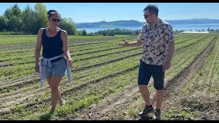 Frosta - the whole of Norway's vegetable garden