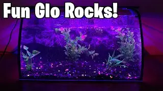 These Rocks Liven Up Aquariums