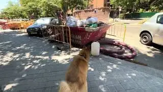 Duque 40 meses 【Espana 】346