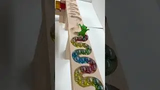 Marble Run ASMR ☆ HABA Wave Slope & Rotating hall & Rainbow Arch, Glass of Water #shorts #marblerun
