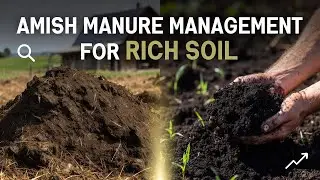 The Amish Manure SECRET: How They Turn Waste Into Perennial Soil Gold