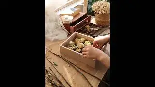 Wooden Dried Flower Photo Frame Dried Flower Display Stand