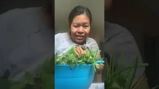 Highlight 3:10 - 8:10 from Lavender Fields  positive mindset Brings Positive Things!