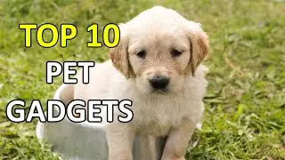 Top 10 Amazing Products Every Pet Dog Lover Needs | Pet Gadgets | Dog Car Seat Cover | Cat Gadgets