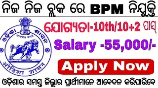 Odisha Block Level BPM Post Recruitment 2024|Block Level Govt Jobs in Odisha|Odisha jobs