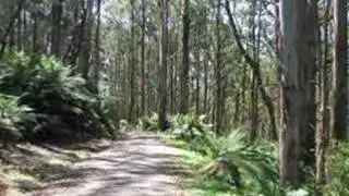 The Summit of Mt. St Leonard
